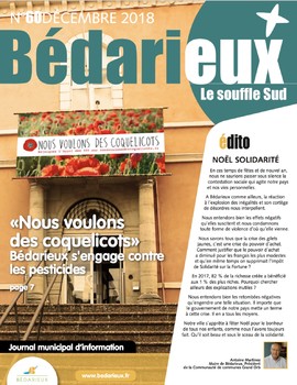 JOURNAL MUNICIPAL DECEMBRE 2018